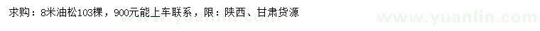 求購8米油松