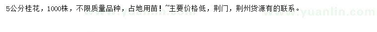 求購5公分桂花