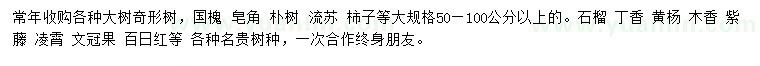 求購國槐、皂角、樸樹等