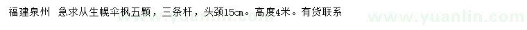 求購頭徑15公分從生幌傘楓
