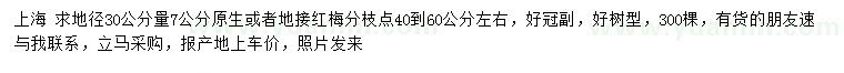 求購地徑30公分量7公分原生或者地接紅梅