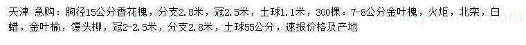 求購香花槐、金葉槐、火炬等