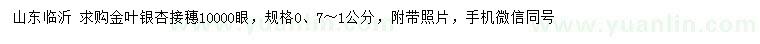 求購0.7-1公分金葉銀杏接穗