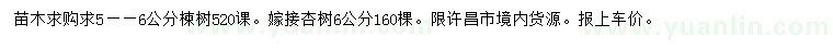 求購5、6公分楝樹、6公分杏樹