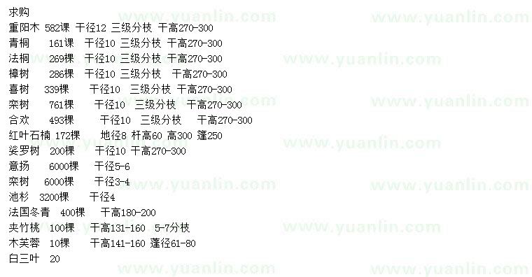 求購(gòu)重陽(yáng)木、青桐、法桐等