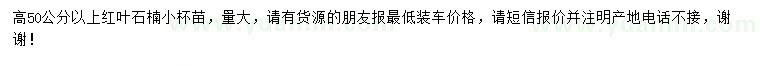 求購高50公分以上紅葉石楠小杯苗