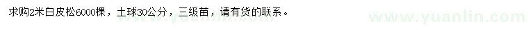求購2米白皮松