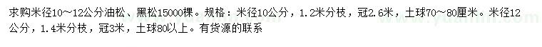 求購米徑10、12公分油松、黑松