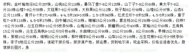 求購(gòu)金葉榆、山桃、暴馬丁香等