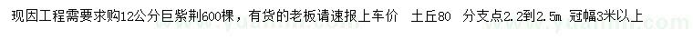 求購(gòu)12公分巨紫荊