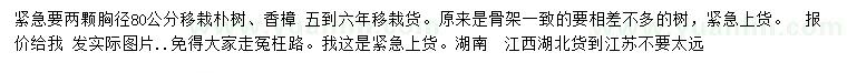 求購胸徑80公分移栽樸樹、香樟