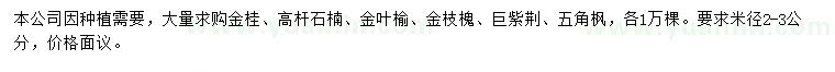 求購金桂、高桿石楠、金葉榆等