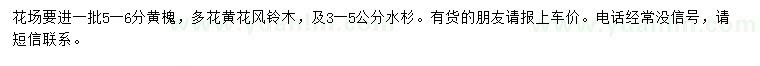 求購(gòu)黃槐、多花黃花風(fēng)鈴、水杉