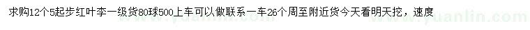 求購12.5公分起步紅葉李