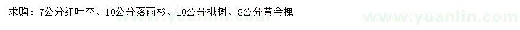 求購(gòu)紅葉李、落雨杉、楸樹(shù)等