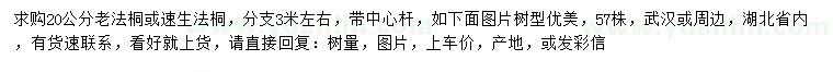 求購20公分老法桐、速生法桐