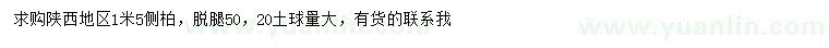 求購1.5米側(cè)柏
