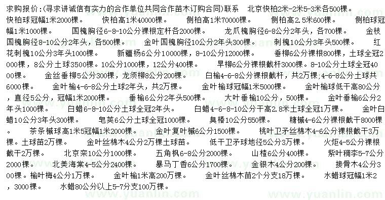 求購北京檜柏、側柏、國槐等