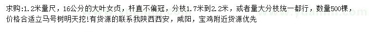 求購1.2米量尺16公分大葉女貞
