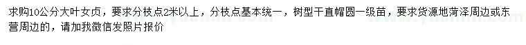 求購10公分大葉女貞