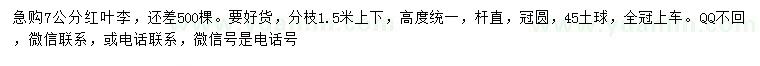 求購7公分紅葉李
