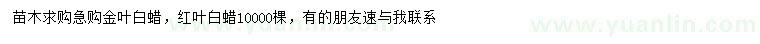 求購金葉白蠟、紅葉白蠟