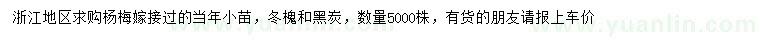 求購楊梅、冬槐、黑炭