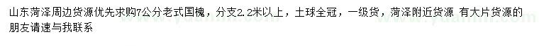 求購7公分老式國槐