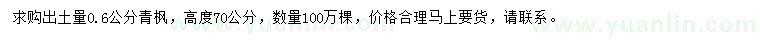 求購0.6公分青楓