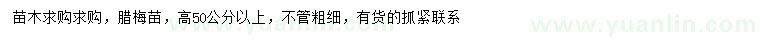 求購高50公分以上臘梅苗