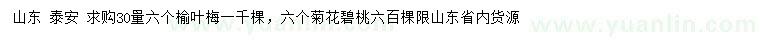 求購30量6公分榆葉梅、菊花碧桃