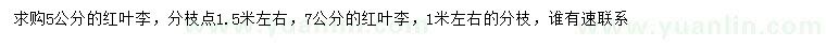 求購5、7公分紅葉李