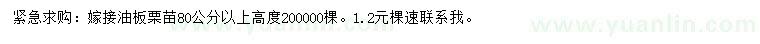 求購高80公分以上嫁接油板栗苗