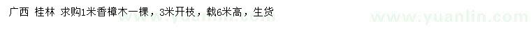 求購(gòu)1米香樟