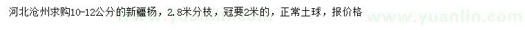 求購10-12公分新疆楊