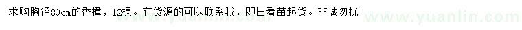 求購(gòu)胸徑80公分香樟