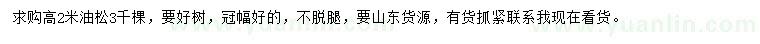 求購高2米油松