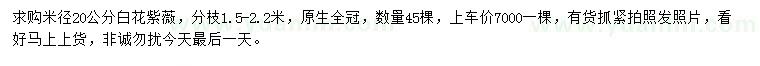 求購(gòu)米徑20公分白花紫薇