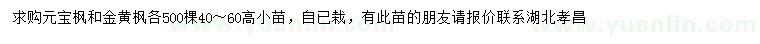 求購高40-60公分元寶楓、金黃楓