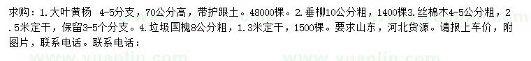 求購(gòu)大葉黃楊、垂柳、絲棉木等