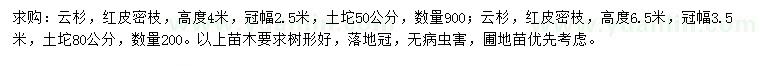 求購高4、6.5米云杉