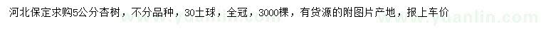 求購5公分杏樹