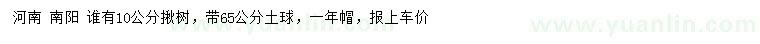求購10公分揪樹