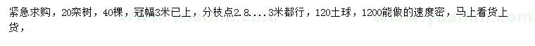 求購(gòu)20公分欒樹