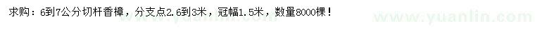 求購(gòu)6-7公分切桿香樟