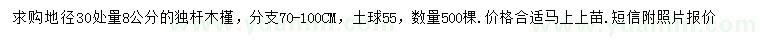 求購地徑30處量9公分獨(dú)桿木槿