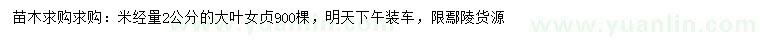 求購米經(jīng)量2公分大葉女貞