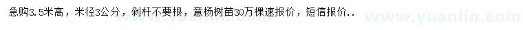 求購米徑3公分意楊