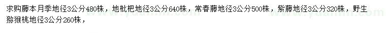 求購(gòu)藤本月季、枇杷、常春藤等