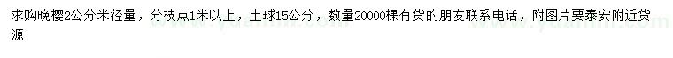 求購米徑量2公分晚櫻